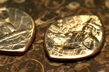 Coin Guitar Pick Coin Guitar Pick